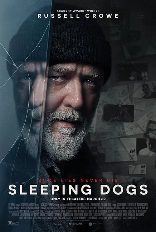 Sleeping Dogs film posteri
